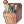 100181.png