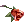 19726.png