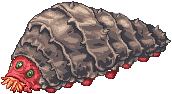 20888.gif