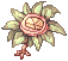2825.gif
