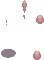3795.gif